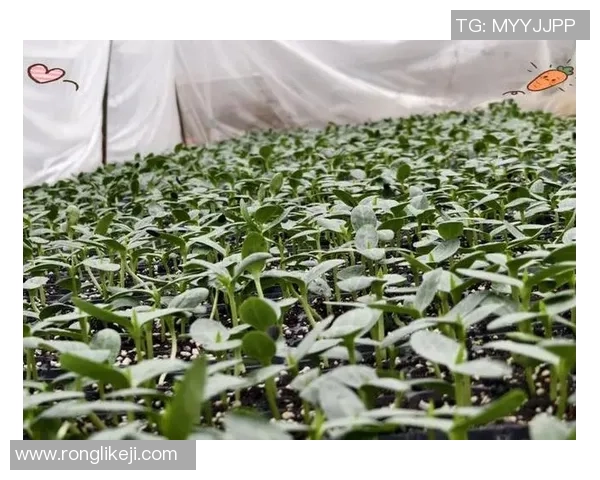 从零起步掌握英雄联盟意识技巧全方位指南助你成为游戏高手